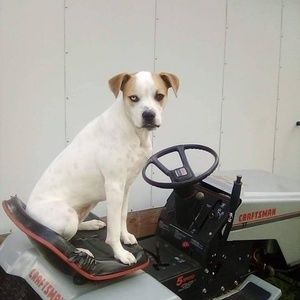 Meet your Posher, Edward